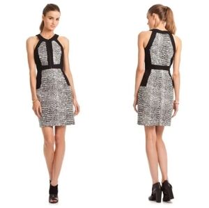 Trina Turk Women’s 100% Cotton Zip-up Dress (6)